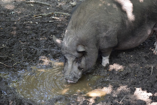 这一成绩的 这一成绩的