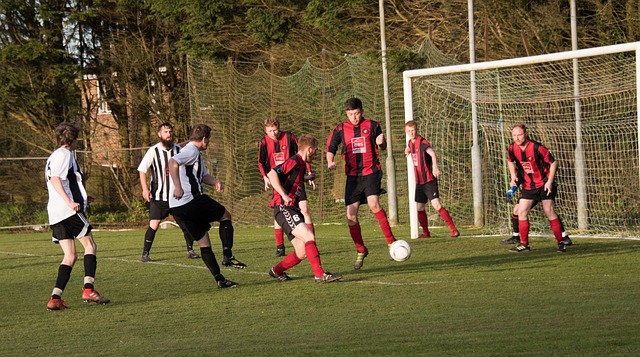 迷或者巴特 迷或者巴特