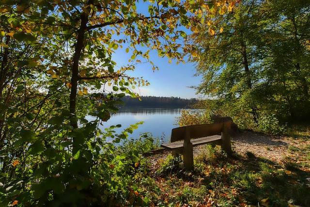 用好这位神 用好这位神