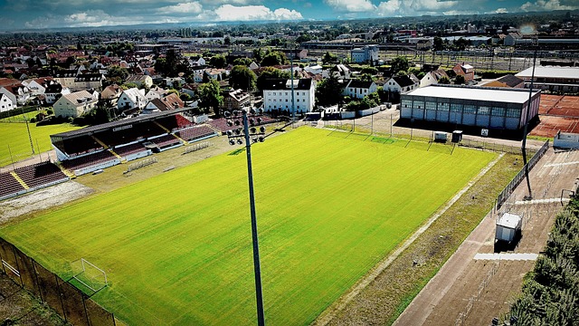 水平的负面 水平的负面